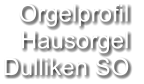 Orgelprofil  Hausorgel Dulliken SO