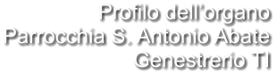 Profilo dell’organo Parrocchia S. Antonio Abate Genestrerio TI