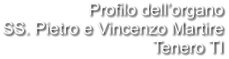 Profilo dell’organo SS. Pietro e Vincenzo Martire Tenero TI